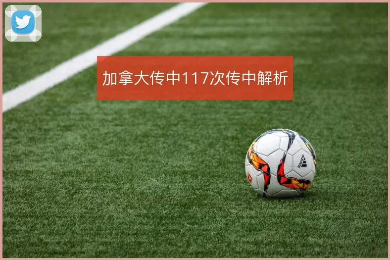 加拿大传中117次传中解析