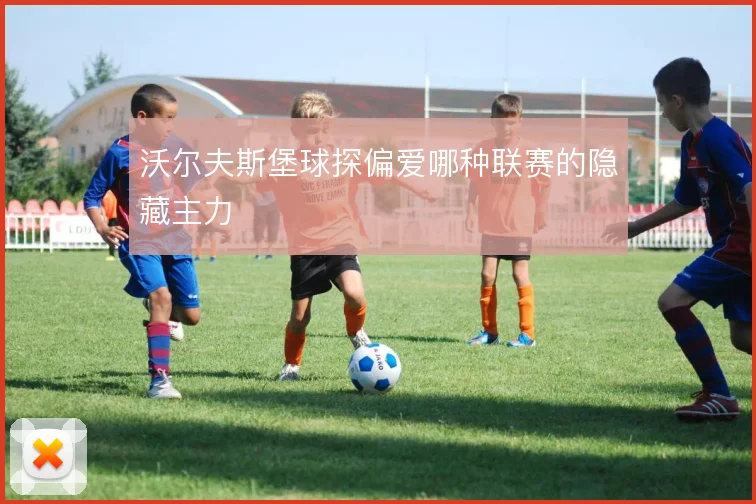 沃尔夫斯堡球探偏爱哪种联赛的隐藏主力