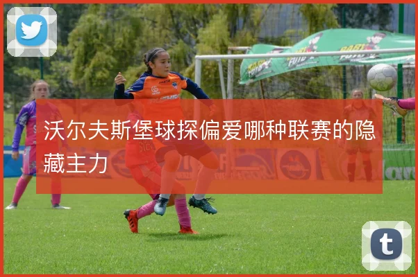 沃尔夫斯堡球探偏爱哪种联赛的隐藏主力